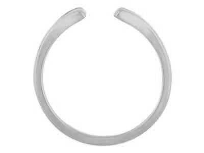 Corpo Dell'anello, Oro Bianco 800 Ref. 01819 - Immagine Standard - 1
