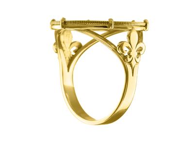 Anello Portamonete Da 10 Franchi, Set Con 6 Artigli, Personalizzabile,18kt Oro Giallo - Immagine Standard - 1