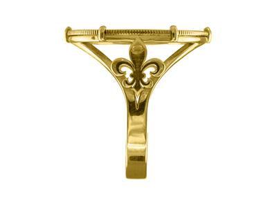Anello Portagemma Da 20 Franchi, Incastonatura A 6 Griffe, Personalizzabile, Oro Giallo 18 Carati - Immagine Standard - 2