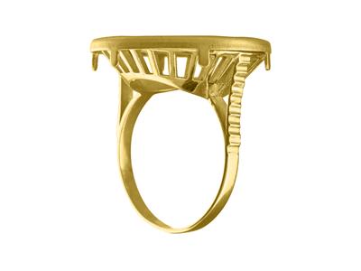 Bague Porte Piece Panier 20 Frs, Sertissure Nno 0003, Or Jaune 18k - Immagine Standard - 1