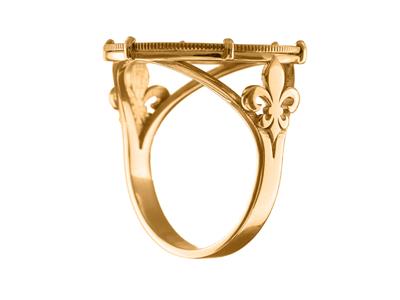 Anello Porta Monete 10 Franchi, Setcon 6 Artigli, Personalizzabile, O Ro Rose18k 4n