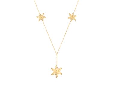 Kit Chaine Ylang Ylang Collier N1 Or J3n - Immagine Standard - 1