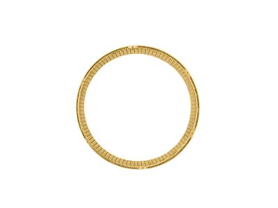 Incastonatura Lapidata Per Moneta Da 20 Frs, Oro Giallo 18 Carati. Rif. 02505 - Immagine Standard - 1