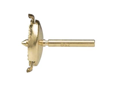 Sistema Sistema Guardian Chiusura Per Orecchini Modello Piccolo, 18kt Oro Giallo. Rif. 20:00, Stanza - Immagine Standard - 2