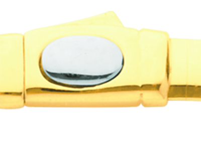 Collana Omega Foglia Di Salvia Da 6mm Reversibile, 42 Cm, Oro Bicolor E 18 Carati - Immagine Standard - 3