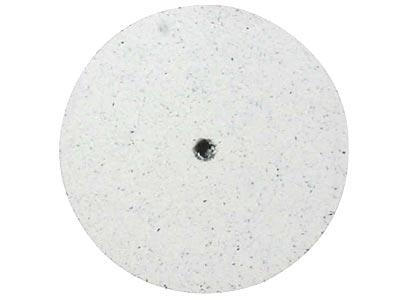 Mola-Tonda-In-Silicone,-Bianca,----Gr...