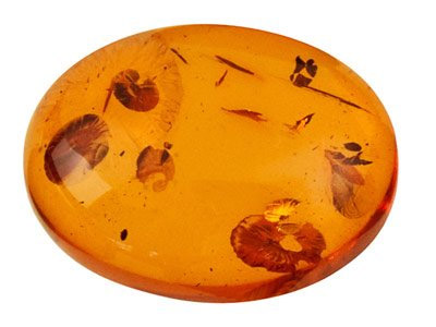 Ambra Naturale, Cabochon Ovale, 14 X 10 MM