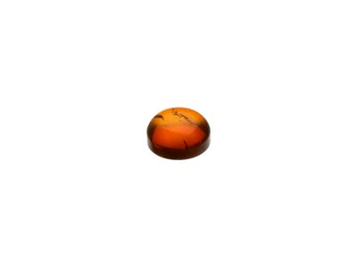 Ambra Naturale, Cabochon Rotondo 4 MM - Immagine Standard - 3