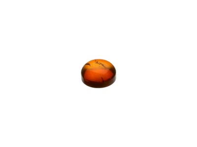 Ambra Naturale, Cabochon Tondo, 4 MM - Immagine Standard - 3