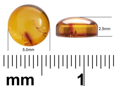 Ambra Naturale, Cabochon Rotondo 5 MM - Immagine Standard - 4