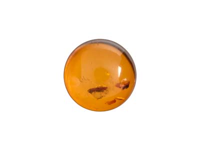 Ambra Naturale, Cabochon Tondo, 8 MM