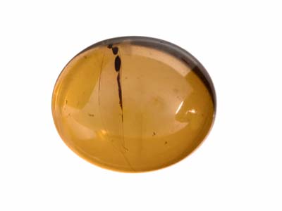 Ambra Naturale, Cabochon Ovale, 12 X 10 MM