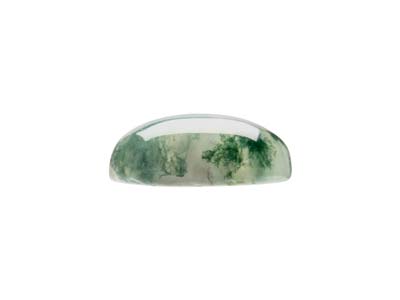 Agata, Muschiata, Cabochon Ovale, 10 X 8 MM - Immagine Standard - 2