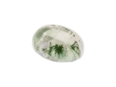 Agata, Muschiata, Cabochon Ovale, 10 X 8 MM - Immagine Standard - 3