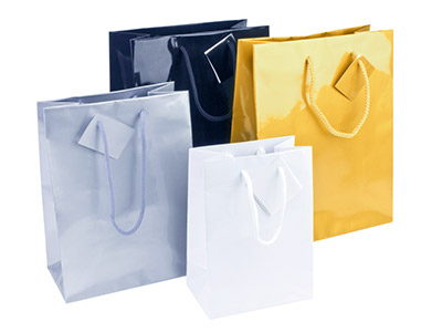 Piccola Borsa Regalo Bianca Lucida,confezione Da 5 - Immagine Standard - 2