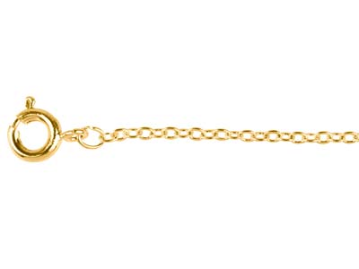 Catena A Maglie Forat 1,6 Mm, 45 Cm, Oro